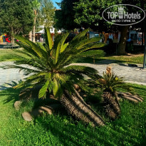 фото из отзыва ID 2655792