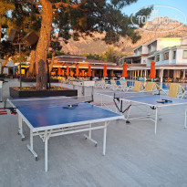 фото из отзыва ID 2655792