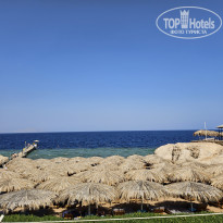 фото из отзыва ID 2656309