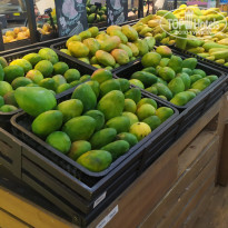 фото из отзыва ID 2656365