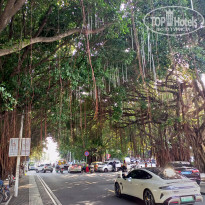 фото из отзыва ID 2656378