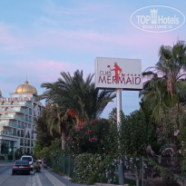 фото из отзыва ID 2656434