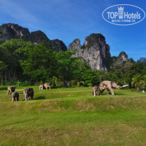 фото из отзыва ID 2656439