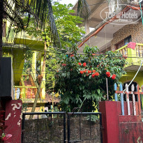 фото из отзыва ID 2656483