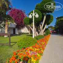 фото из отзыва ID 2655792