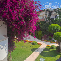 фото из отзыва ID 2655792