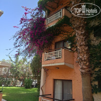 фото из отзыва ID 2655792