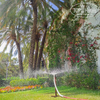 фото из отзыва ID 2655792