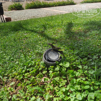 фото из отзыва ID 2655792