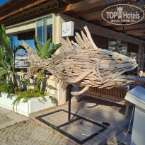 фото из отзыва ID 2655792