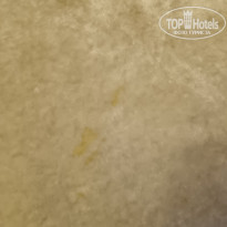 фото из отзыва ID 2656554