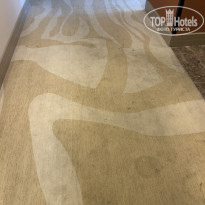 фото из отзыва ID 2656573