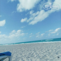 фото из отзыва ID 2656585