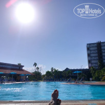 фото из отзыва ID 2656585