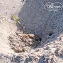 фото из отзыва ID 2656585