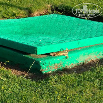 фото из отзыва ID 2656585