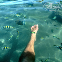 фото из отзыва ID 2656603