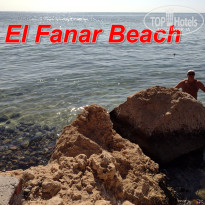 фото из отзыва ID 2656603