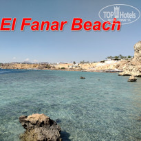 фото из отзыва ID 2656603