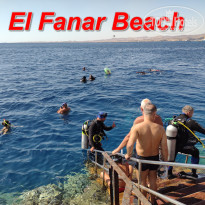 фото из отзыва ID 2656603