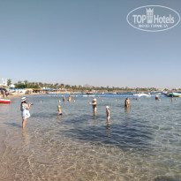 фото из отзыва ID 2656603