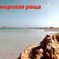 фото из отзыва ID 2656603