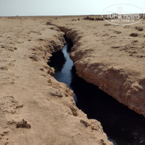 фото из отзыва ID 2656603