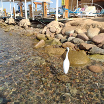 фото из отзыва ID 2656603