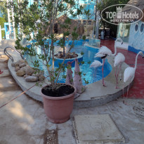 фото из отзыва ID 2656603