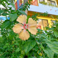 фото из отзыва ID 2656677
