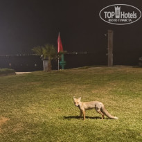 фото из отзыва ID 2656701