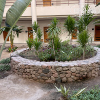 фото из отзыва ID 2656724