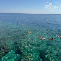 фото из отзыва ID 2656724