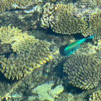 фото из отзыва ID 2656724