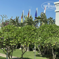 фото из отзыва ID 2656724