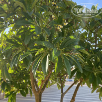 фото из отзыва ID 2656724