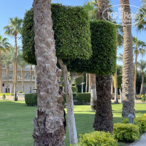 фото из отзыва ID 2656724