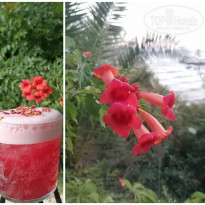 фото из отзыва ID 2656762