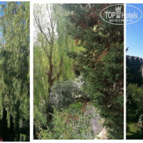 фото из отзыва ID 2656762