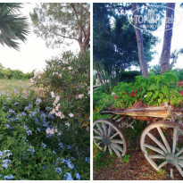 фото из отзыва ID 2656762