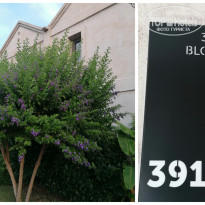 фото из отзыва ID 2656762