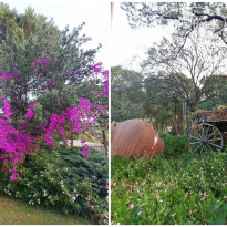 фото из отзыва ID 2656762