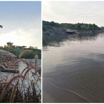 фото из отзыва ID 2656762