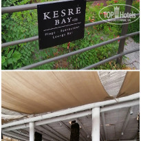 фото из отзыва ID 2656762