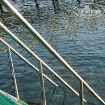 фото из отзыва ID 2656773