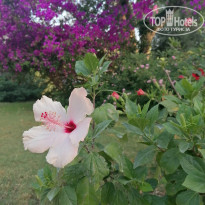 фото из отзыва ID 2656762