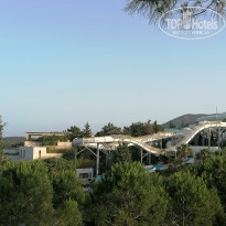 фото из отзыва ID 2656762