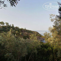 фото из отзыва ID 2656762