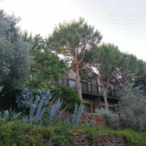 фото из отзыва ID 2656762