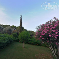 фото из отзыва ID 2656762